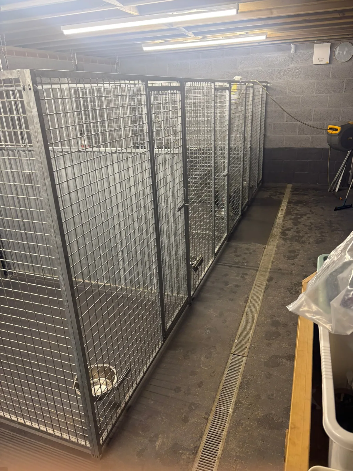 An empty kennel run, clean and dry, ready for the next guest